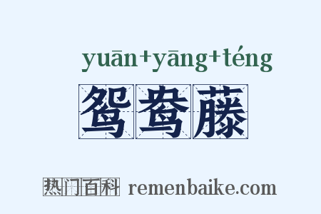 鸳鸯藤是什么意思的图片